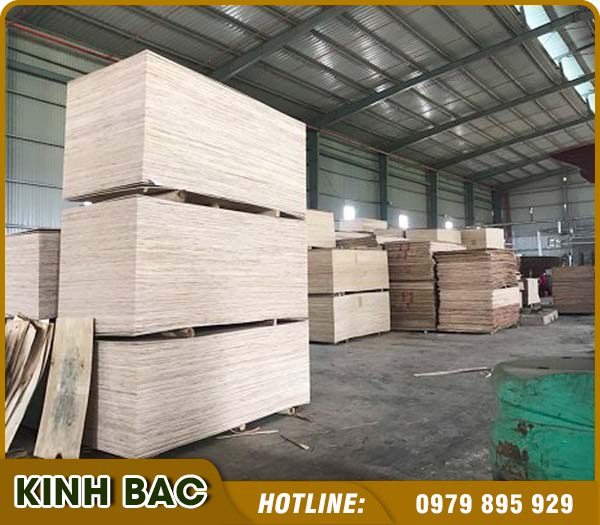 Công Ty TNHH Đầu Tư Thương Mại Xuất Nhập Khẩu Kinh Bắc